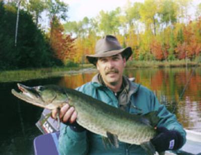 Enlarged view of image