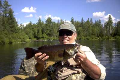 Enlarged view of image