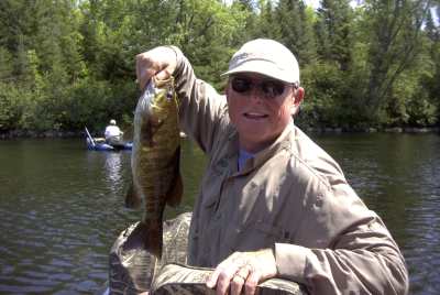 Enlarged view of image