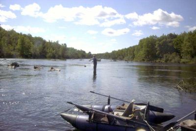 Enlarged view of image